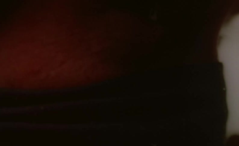 Strange close up view of what appears to be some kind of animal