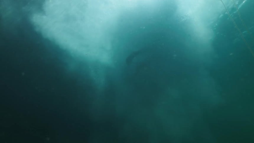 A person dives in the water and swims around