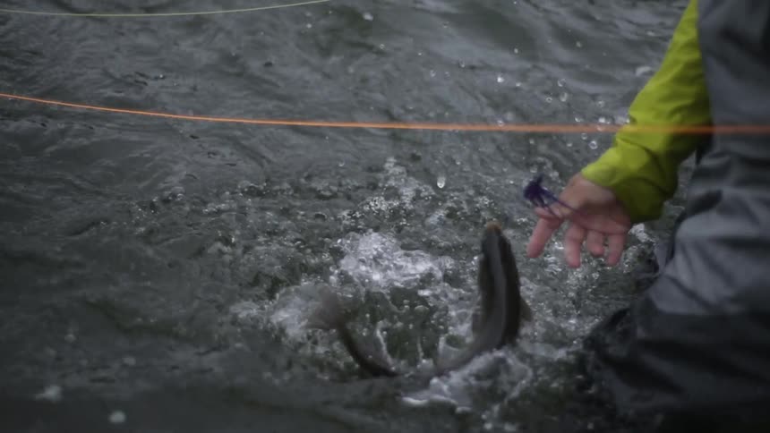 A fisherman tries to take the hook out of his catch