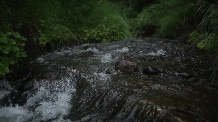 Water trickles down a rock ledge in a stream