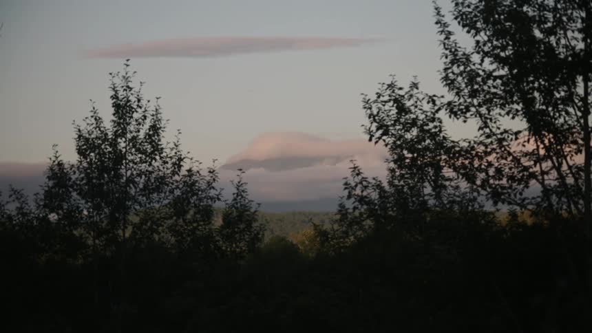 Trees block the skyline at sunset