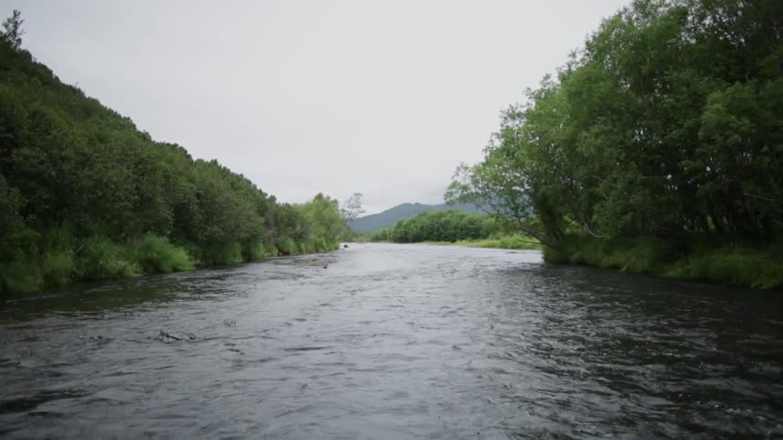 View of a tree lined river on a cloudy day