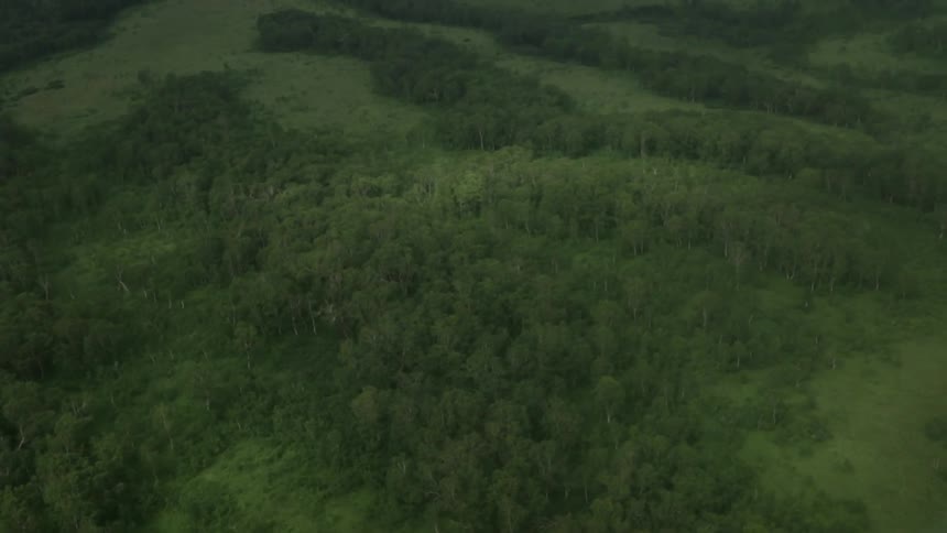 Aerial view moving over a green field