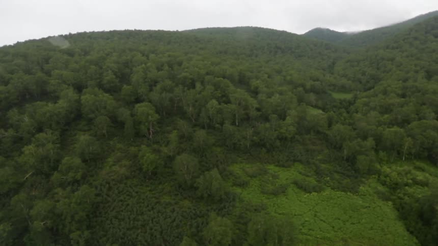 Helicopter Ride