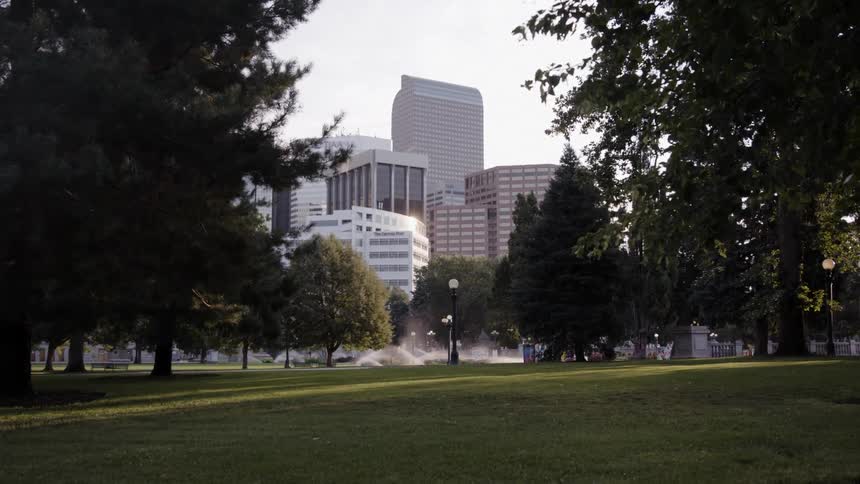 Green city park across high rise buildings
