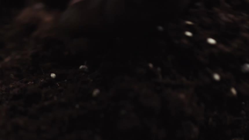 Person stirs and manipulates garden soil