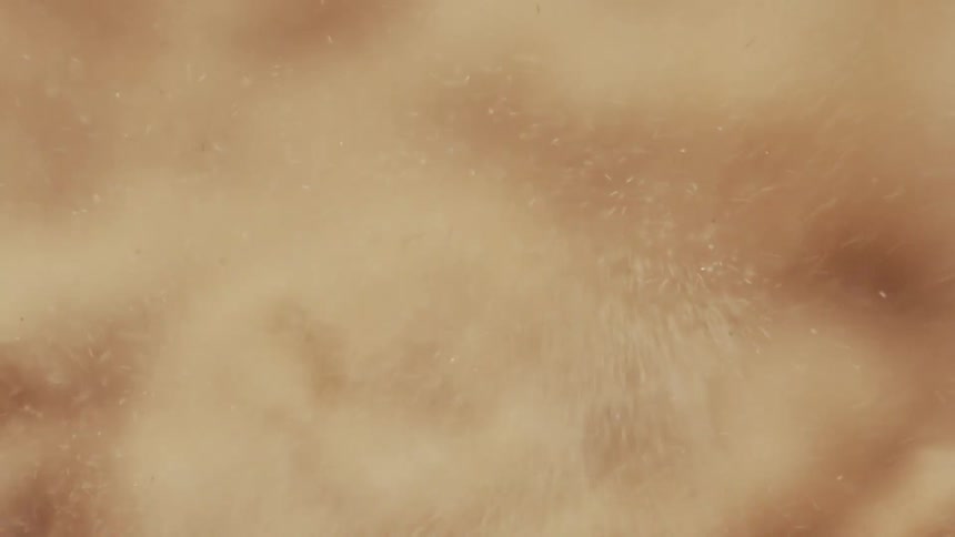 Sand is vibrating on a surface and being shaken into a dust cloud