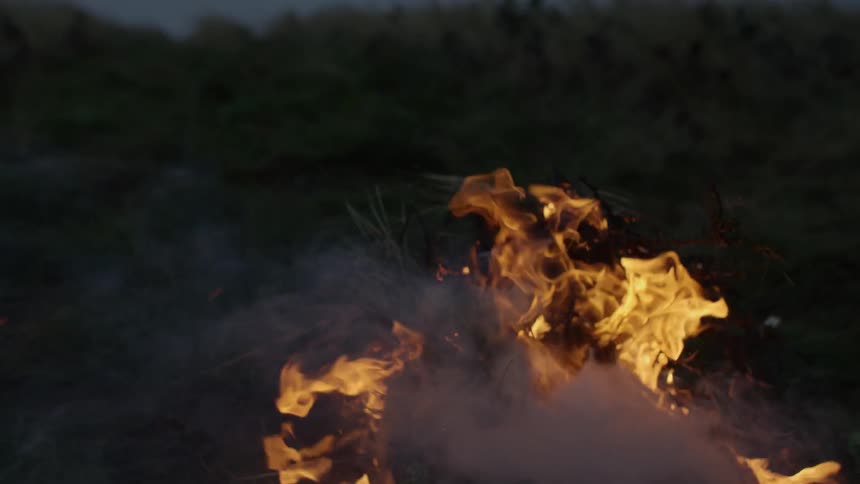Wind blows the flames and smoke of a burning campfire
