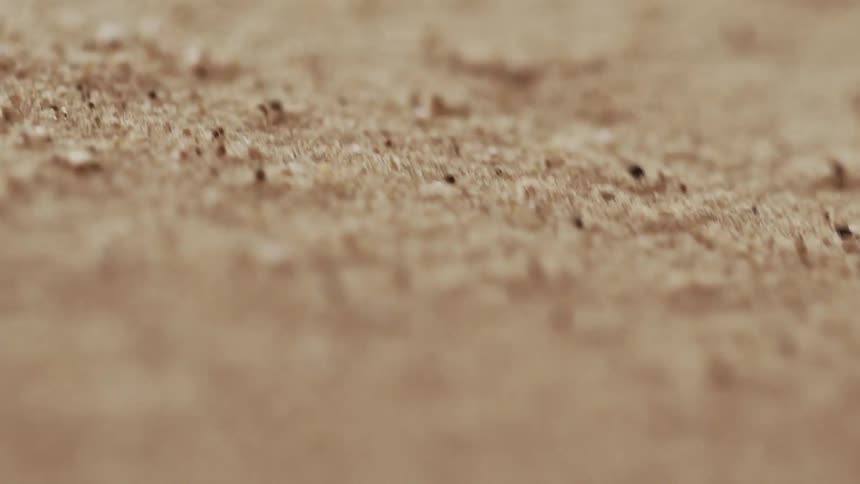 Light brown particles tremble and fall away leaving white