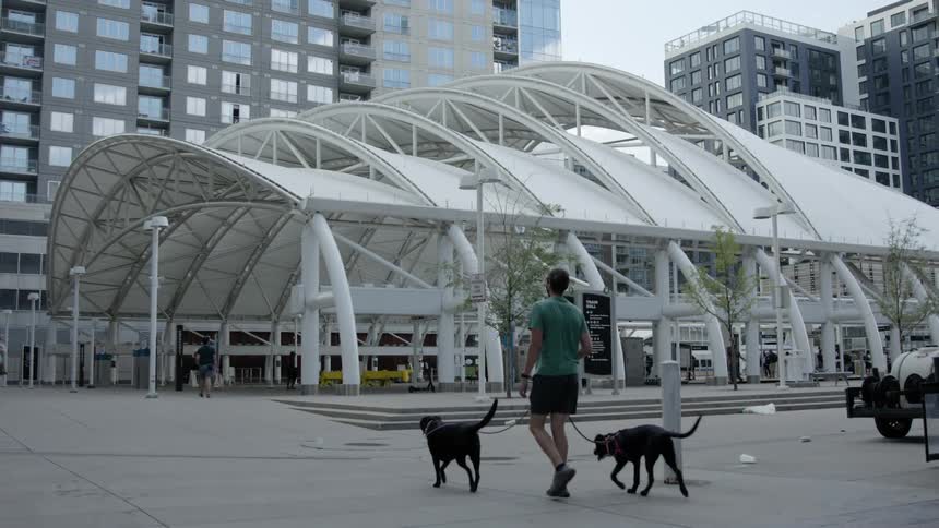 A man with a hat walking to dogs with buildings people the sky and clouds in the background