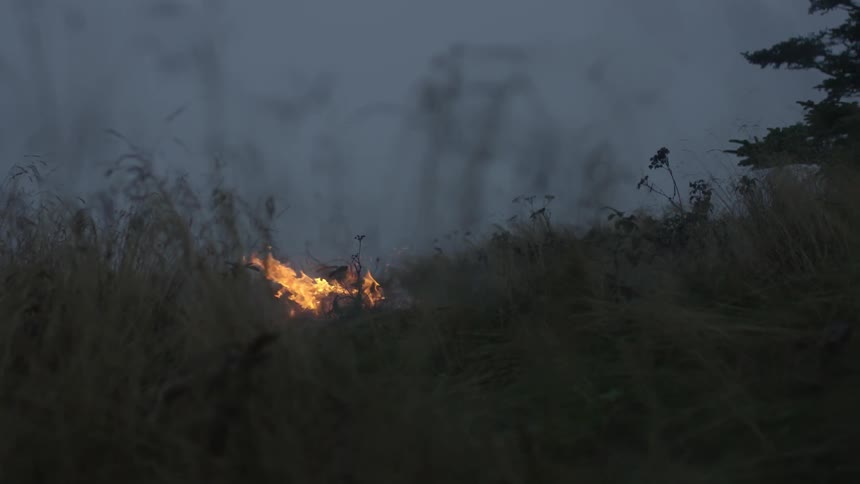 A campfire sits in this field at dawn