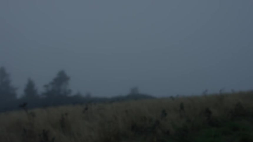 Smoke and fire rises from the grass