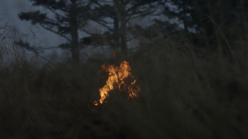 A camp fire is lit at dawn