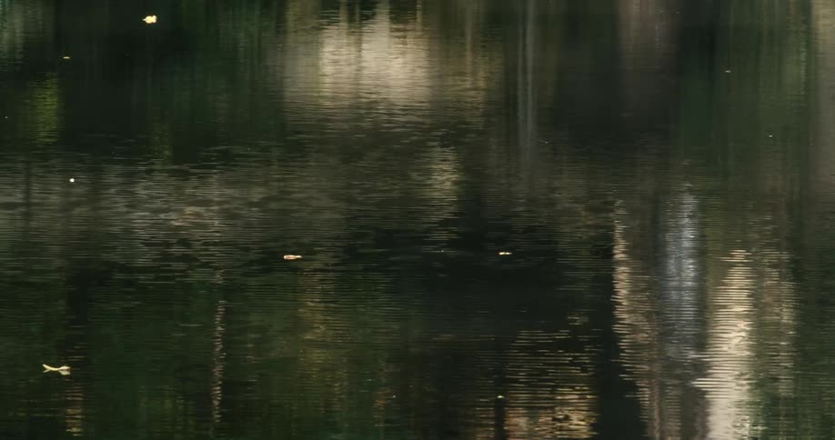 Rippling green water reflects white lights
