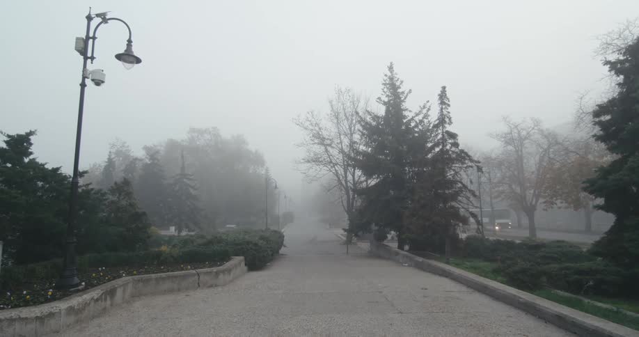 A landscaped area of a public park next to a road on a foggy fall season day