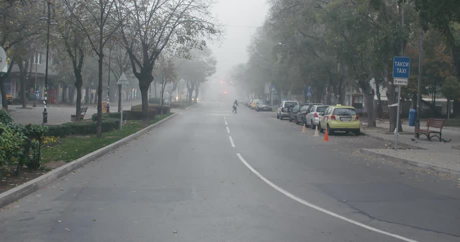 Pedestrian crosses foggy street as birds fly about
