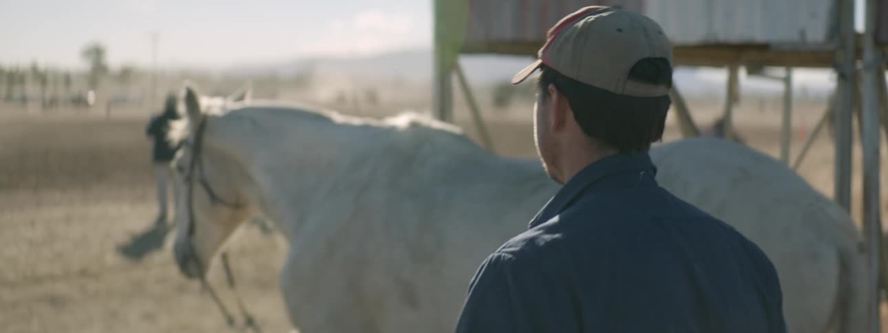 A man with a hat walking up and petting a horse with people trees the sky and clouds in the background