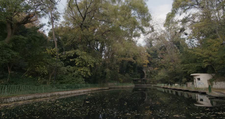 The surface of a pond in a park is littered with leaves and reflects the small shed on the side