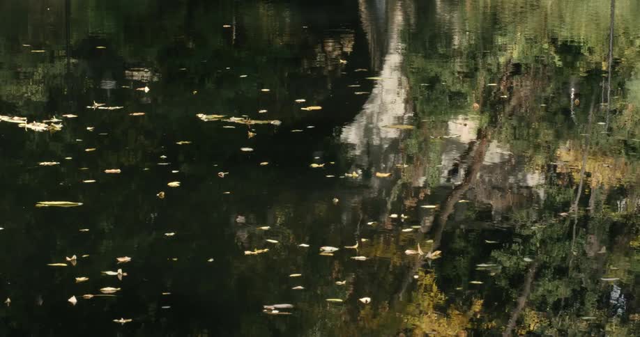 A view of a pond with reflections of trees on it