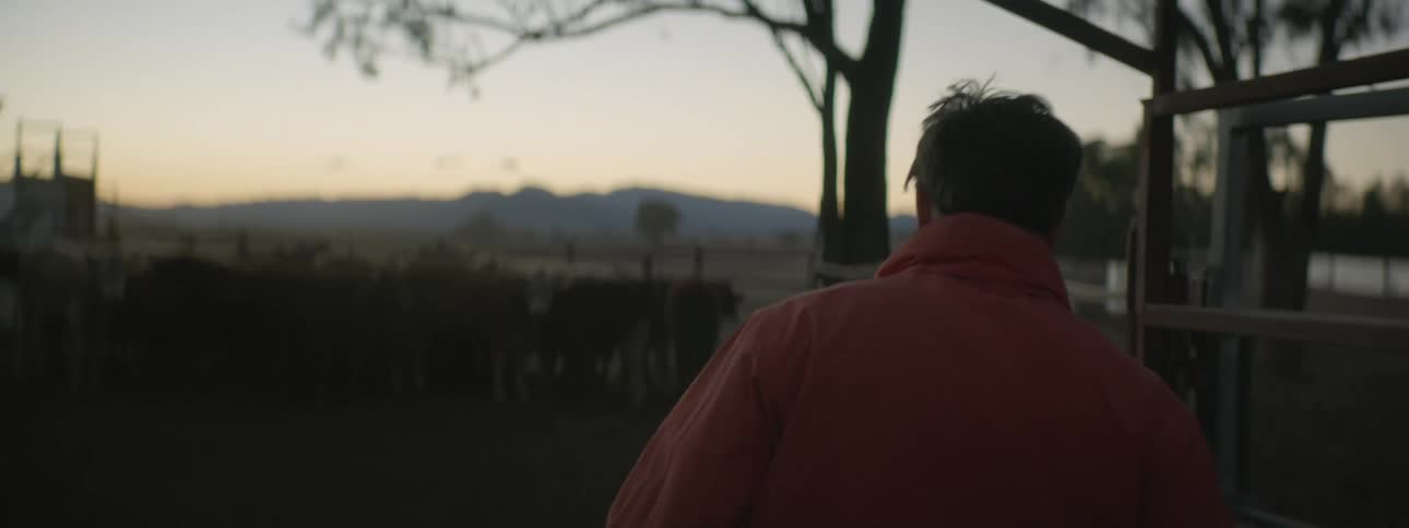 A man opening a pen with cattle with trees the sky and clouds in the background