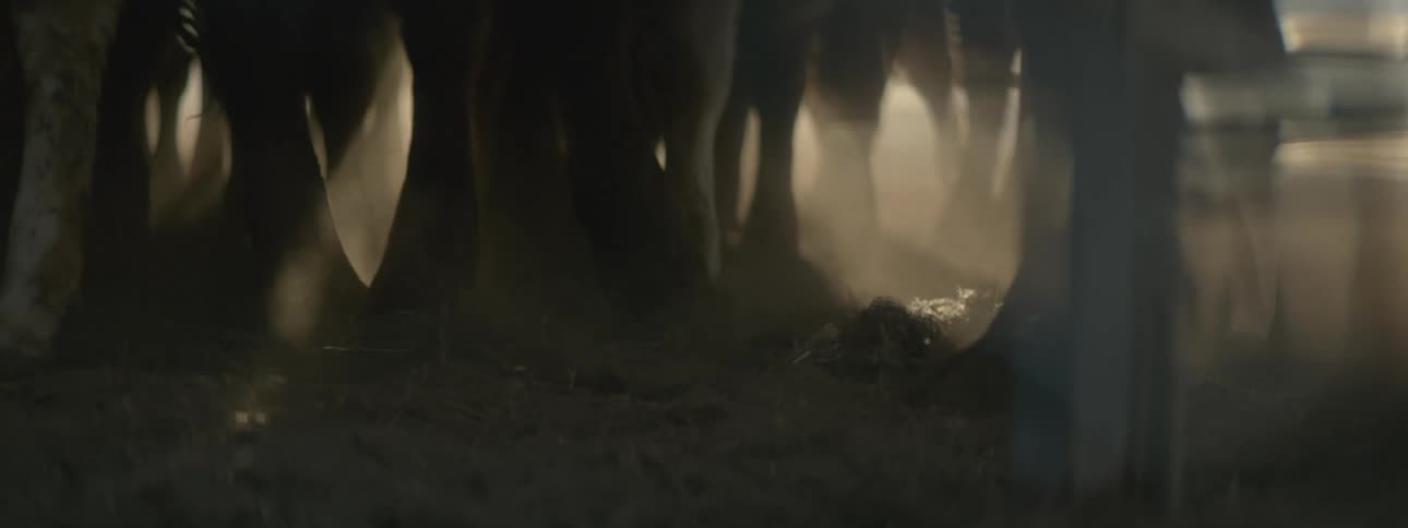 Animals with hooves move around in clump in corral churning soil and kicking up dust