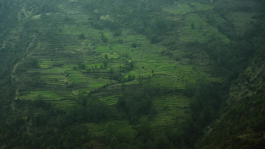 Trees and grass cover the mountain land