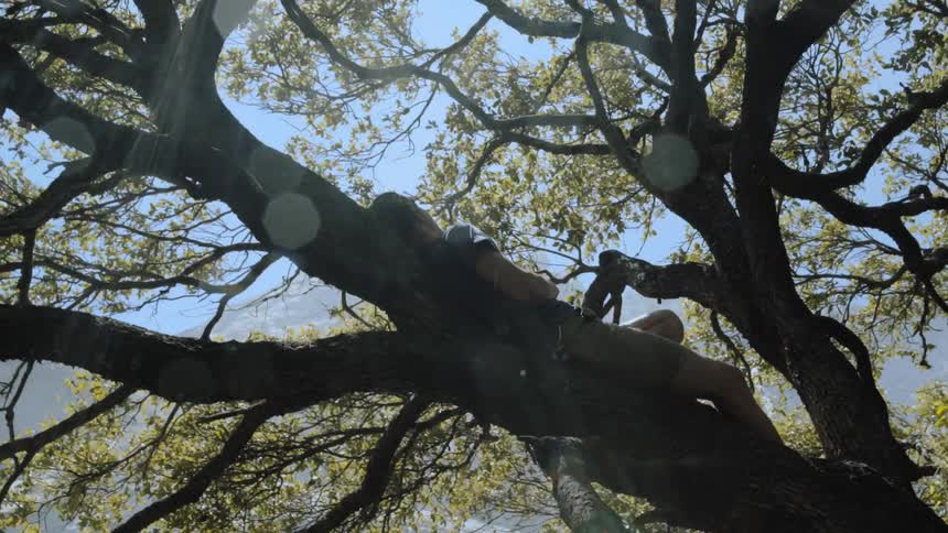 A person is lying on a branch above