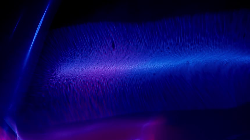 Blue purple and black colors that look like computer graphics