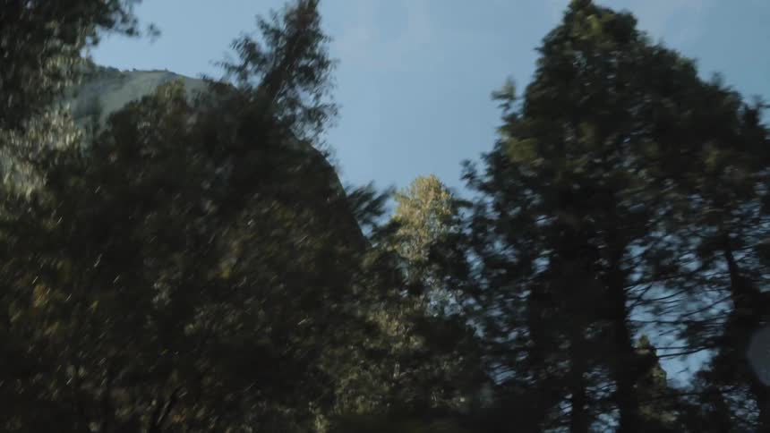 Moving fast past tall trees