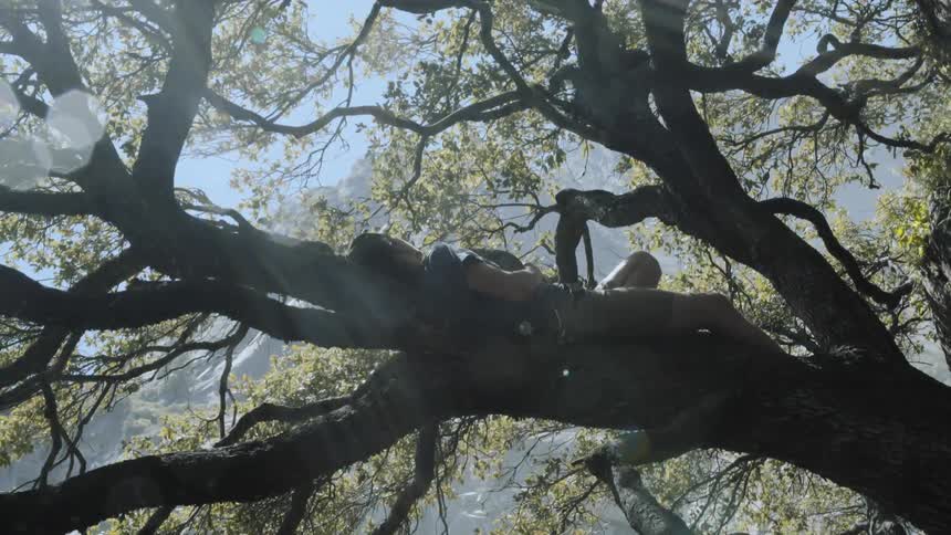 Man laying on a large tree branch in Yosemite