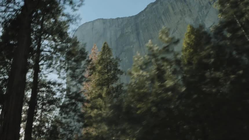 Moving past some trees near a mountain
