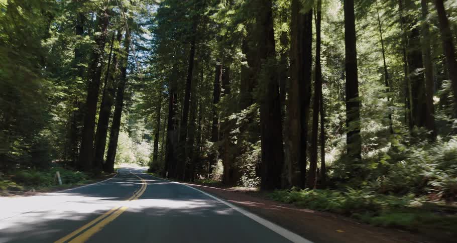A vehicle driving on a road surrounded by trees with the sky and clouds in the background