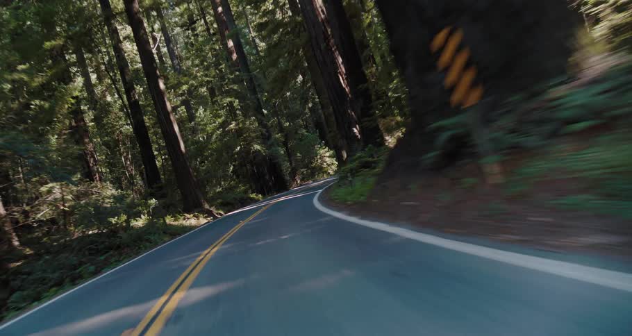 Traveling on a road through a forest as the sun shines through the trees