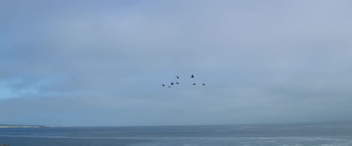 Seagulls flying over a lake along a coastline