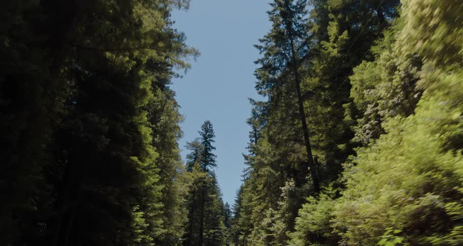 A vehicle driving on a road surrounded by trees with the sky and clouds in the background