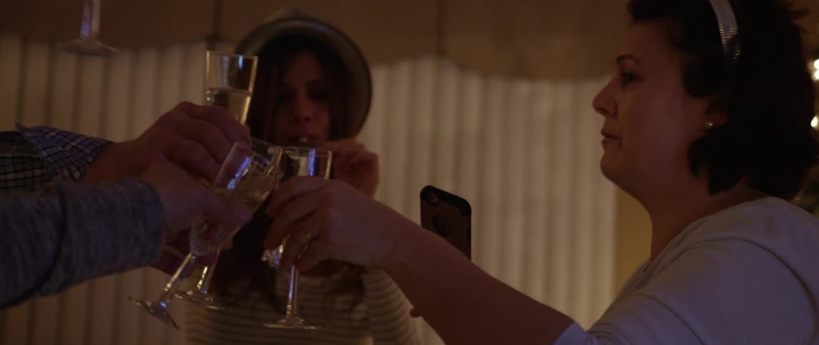 People having a party do a toast with their glasses