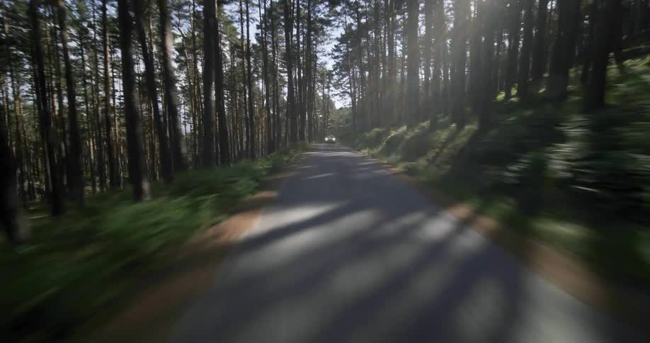 Gray car drives fast on country road through forest