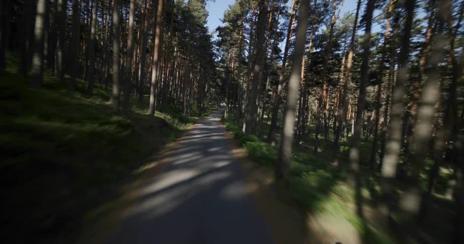 The shadow of a drone as it films a road with forest on either side