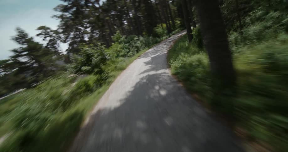 Vehicle drives on country road through woods