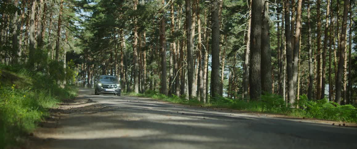 A car travels on a road through a forest with trees all around