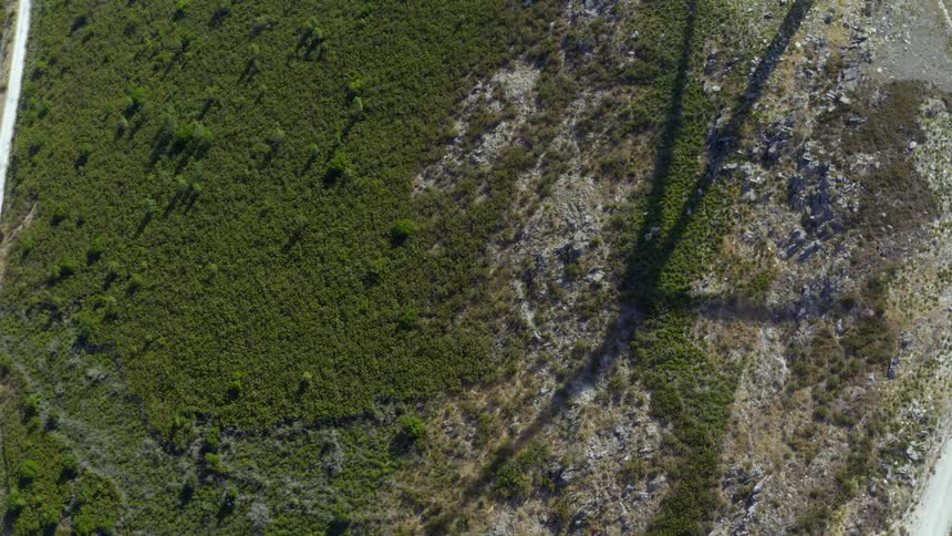 The shadow of a wind turbine spinning is on the ground
