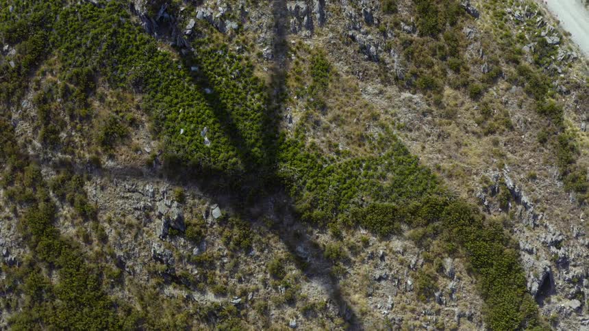 The shadow of a wind turbine spinning is on the ground