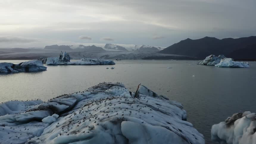 An aerial view of a large lake with icebergs and resting birds surrounded by mountains on a dreary morning