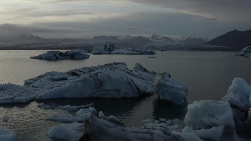 Aerial view of birds nesting over the glaciers near the coast at morning