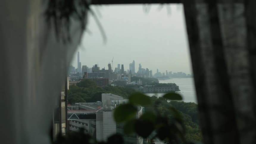 Apartment window with plants overlooking the city next to river