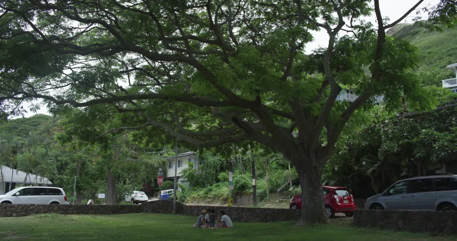A group of people sitting under a tree