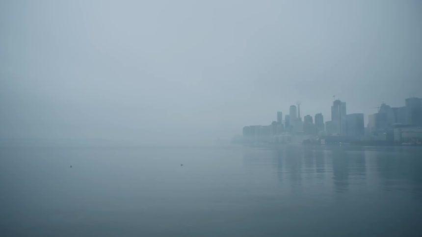 Ducks are in a foggy lake with a city on the other side
