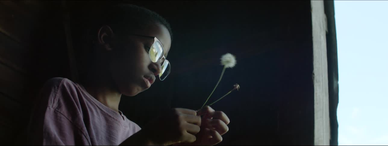 A boy wearing eyeglasses standing near opening showing blue sky blows dandelion