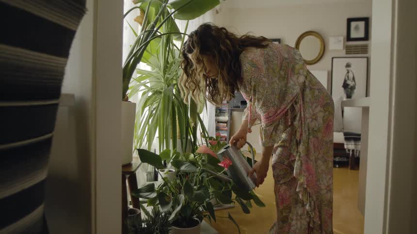 Pregnant woman with wavy brown hair and floral dress waters plants with watering can in living room at home