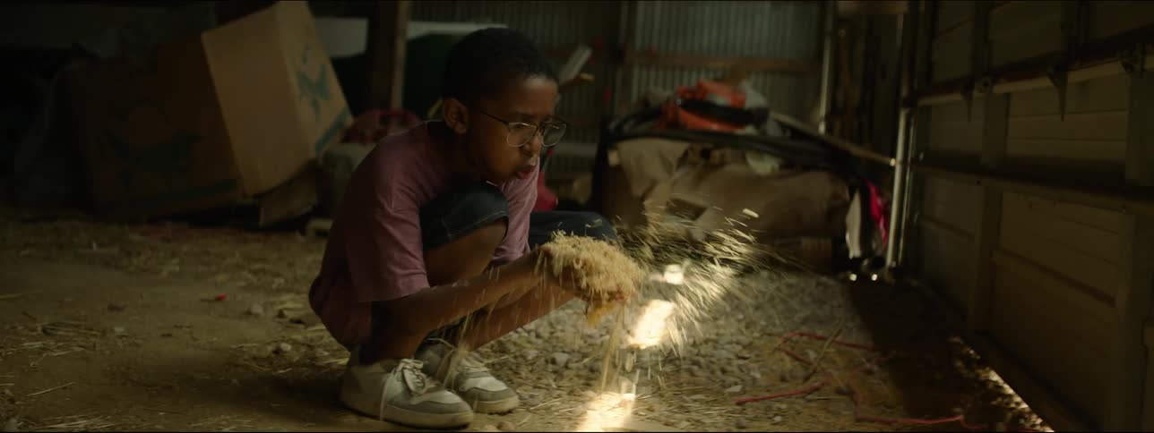 A boy picks up a handful of sawdust and throws it